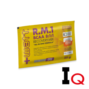 RM1 New Formula (BCAA 8.1.1) 25 g
